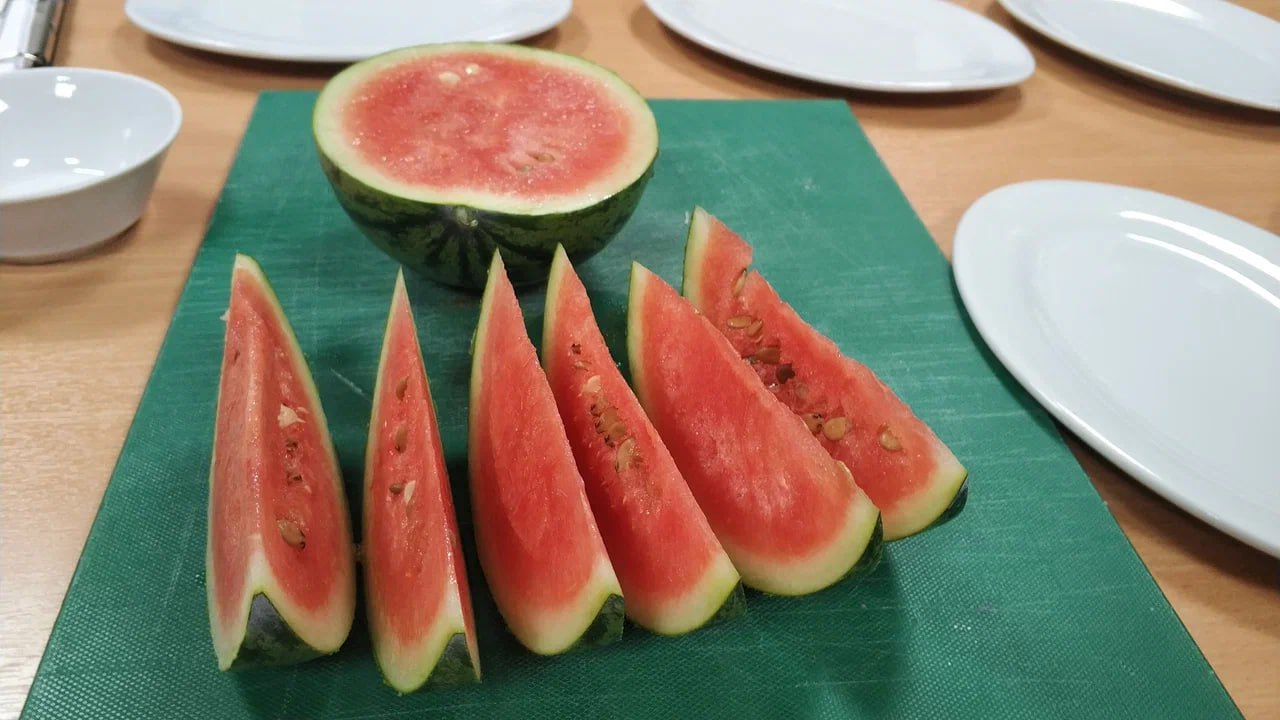 Russian polar explorers grew watermelons in the coldest place on the planet