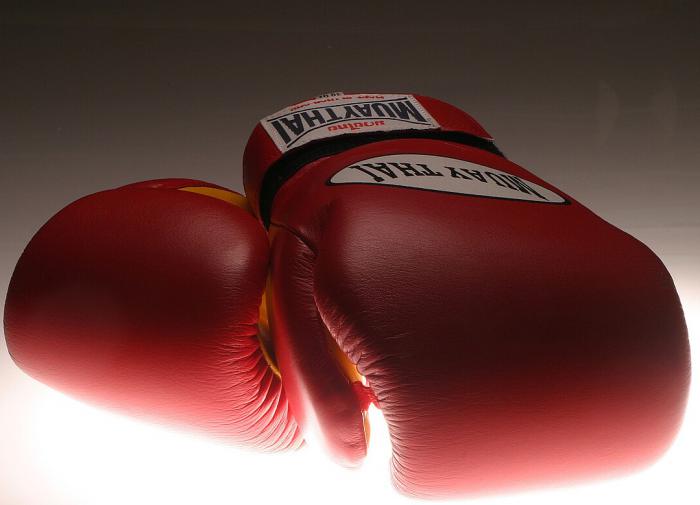 The first boxing championship is taking place in Genichesk